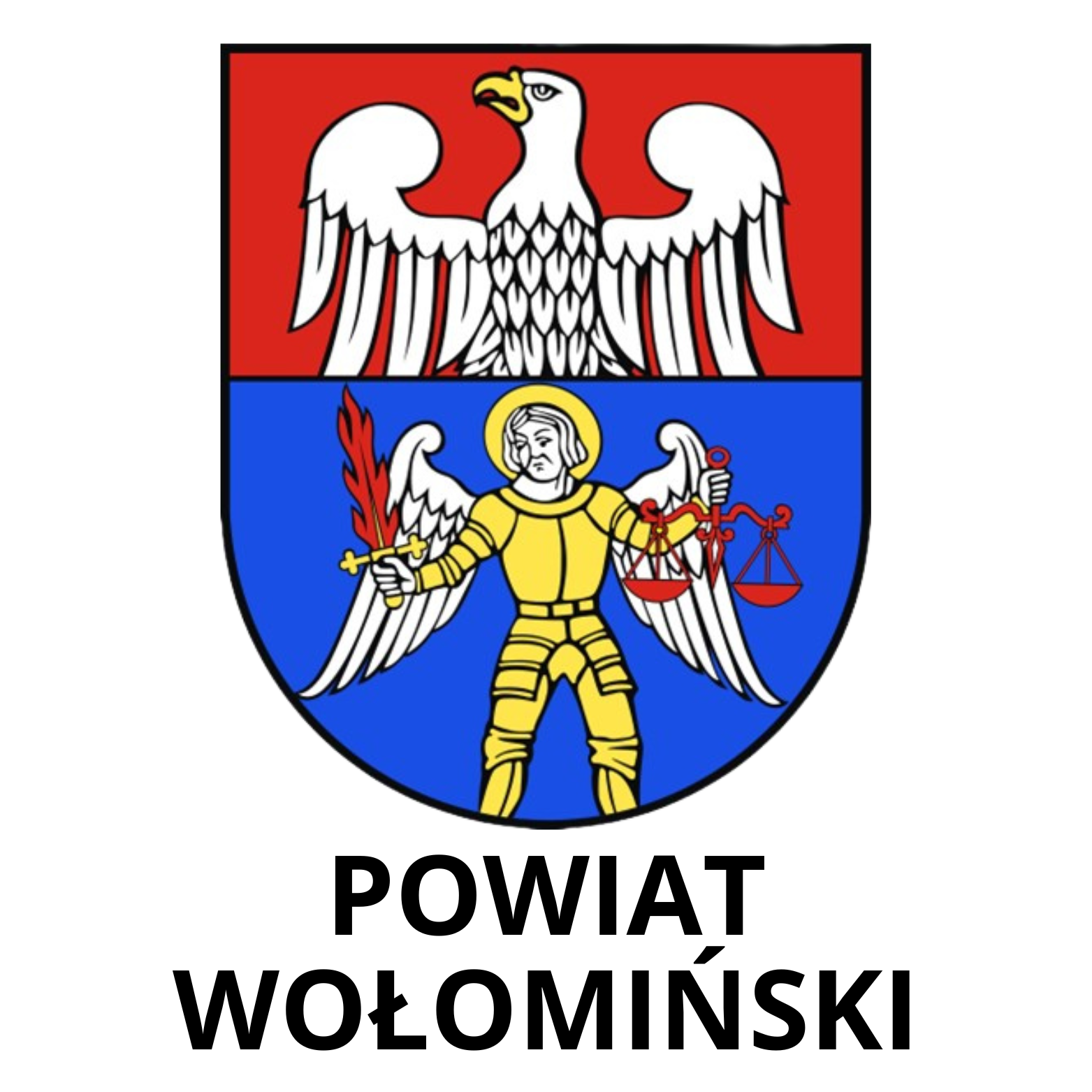 Organizacja Mistrzostw Powiatu Wołomińskiego w wybranych dyscyplinach sportowych współfinansowany ze środków Powiatu Wołomińskiego