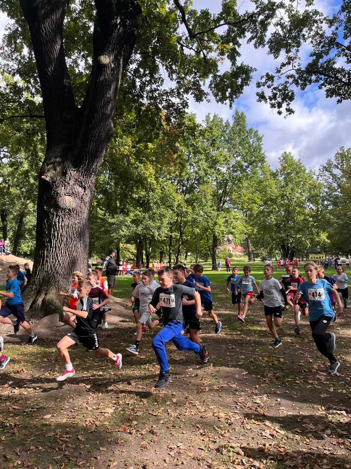 Read more about the article WYNIKI REJONOWYCH INDYWIDUALNYCH BIEGÓW PRZEŁAJOWYCH (REJON KOBYŁKA-ZĄBKI-ZIELONKA) Zielonka, Park Dębinki 19.09.2025